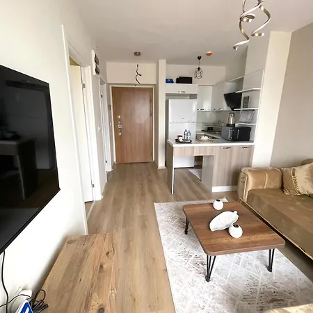 Classic Ms33 * Provincia di Istanbul