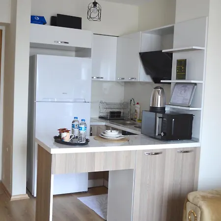 Classic Ms33 Apartamento Istambul