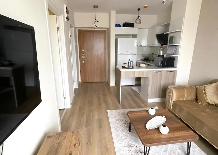 Classic Ms33 * イスタンブール