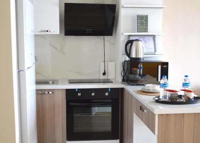 Classic Ms33 Apartment *